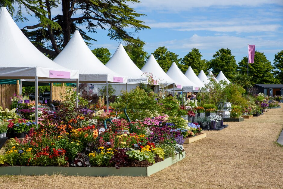 Plant Village At RHS Hampton Court 2022 - flowers and plants are displayed infront of Danco Marquee hats. 